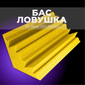 ES Bass (30x30x60)