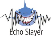 Echoslayer - производство акустического пенополиуретана